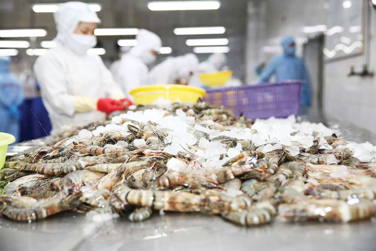 Tư vấn chiến lược kinh doanh Tôm Việt